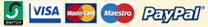 Paypal payments