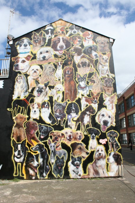 Black Cat`s 200th Treasure Hunt Blog. Time for a Treasure Hunt Q&A! - Click here to view this entry