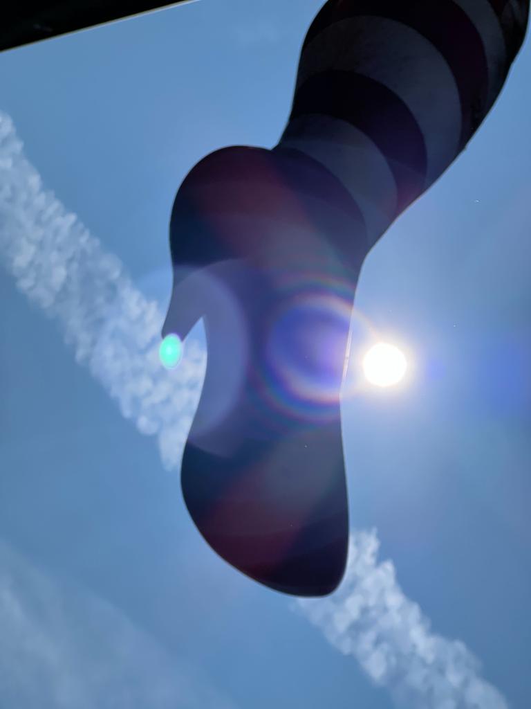 Brighton for a Hen Party Treasure Hunt? This is why it makes sense! - Click here to view this entry